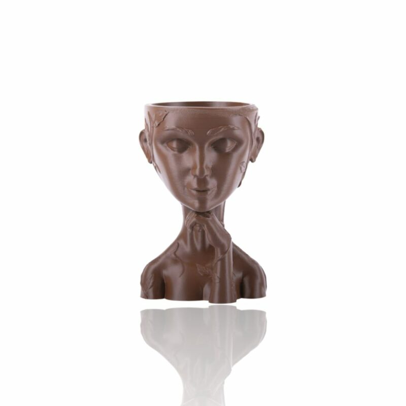 plaplus_skin_477c-Portugal-Evolt