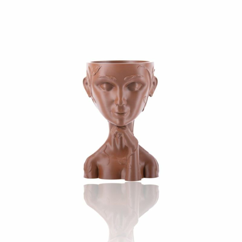 plaplus_skin_478c-Portugal-Evolt