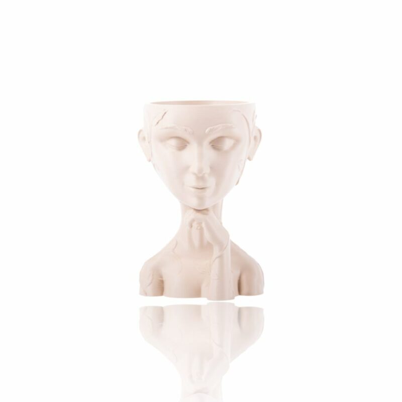 plaplus_skin_480c-Portugal-Evolt