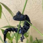 PLA Polyterra 1kg Charcoal Black - Polymaker photo review