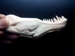 PLA+ PLUS PRO 1kg Bone White - ESUN photo review